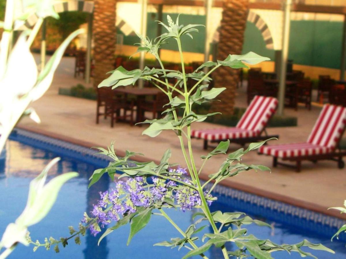 Holiday Inn Riyadh Izdihar By Ihg Exterior photo